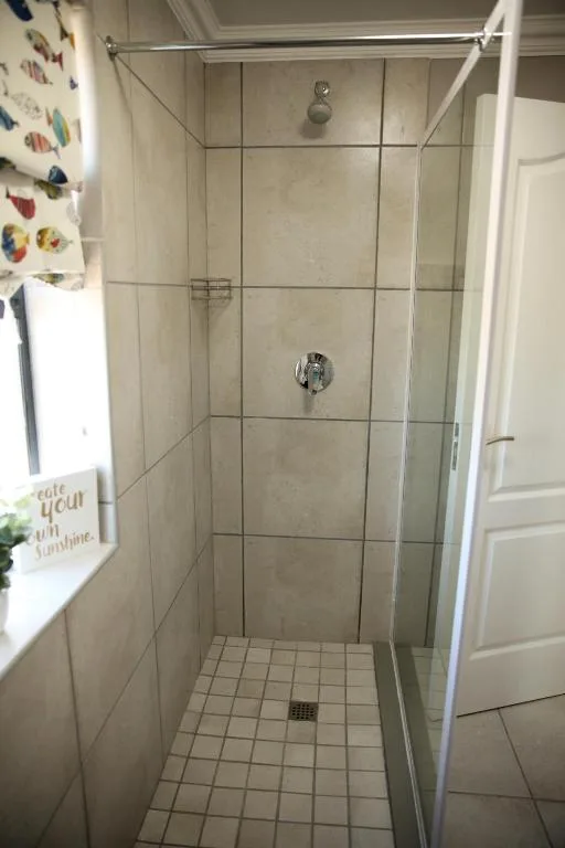 Clean shower enclosure with tiled walls and rainfall showerhead