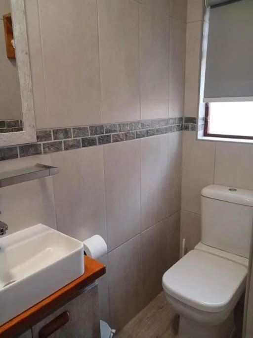 Modern bathroom with tiled shower enclosure, white sink, and toilet