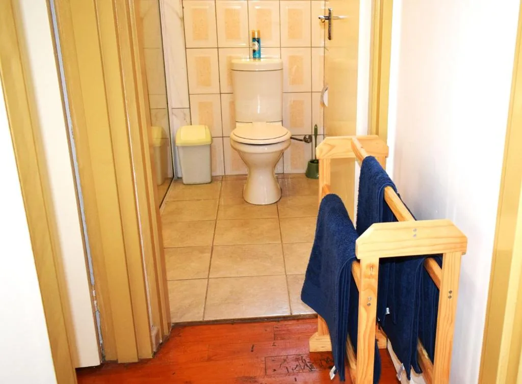 Simple bathroom with toilet, shower cubicle, and wooden shelving unit