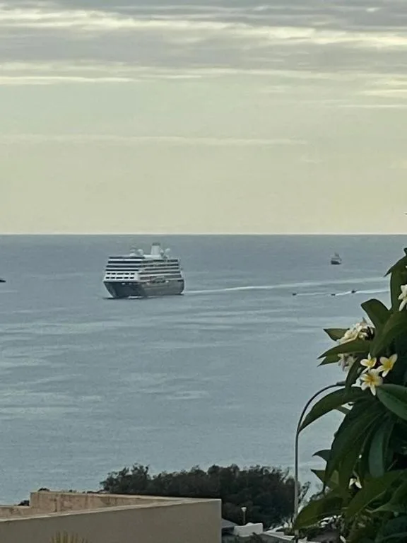 Ocean view with cruise ship and coastal vegetation in foreground