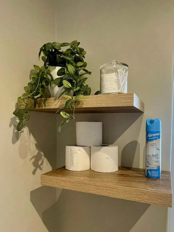 Bathroom shelves with potted plant, toilet paper rolls, and toiletries