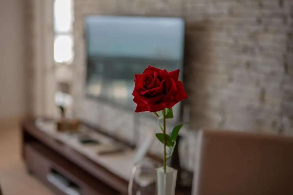 Red rose in vase on bedroom windowsill with scenic view beyond