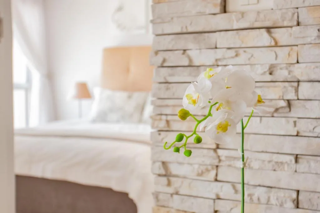 White orchid flowers with yellow centers against brick wall