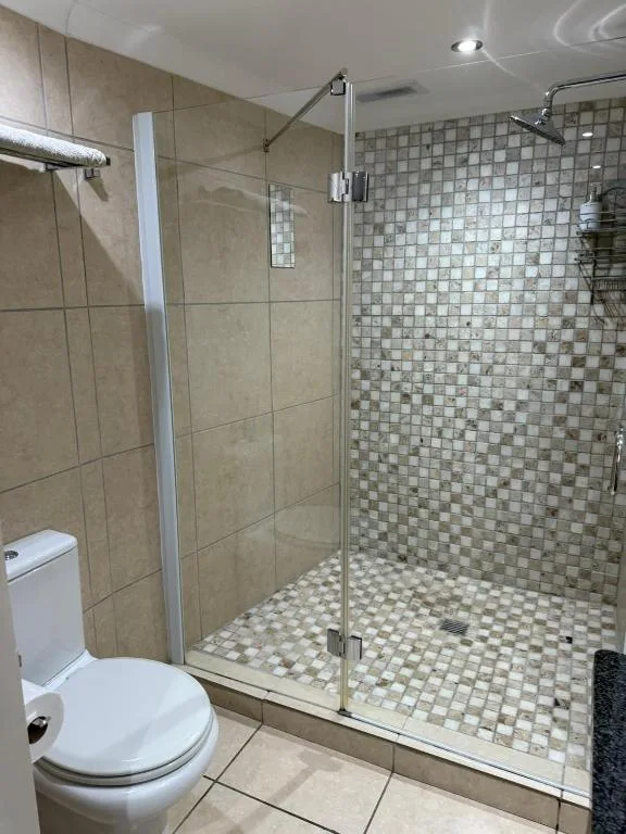 Modern bathroom with walk-in shower and white toilet fixture