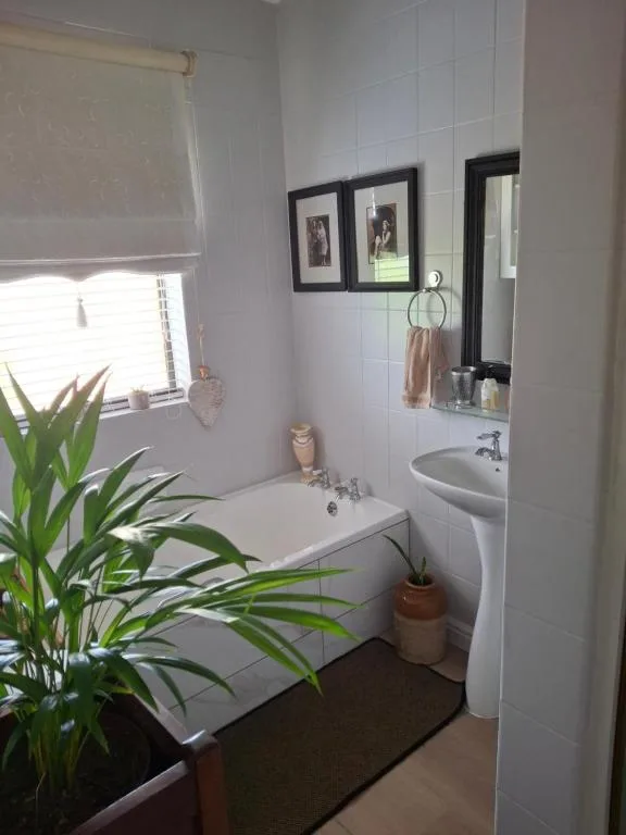 Clean bathroom with bathtub, pedestal sink, mirror, and potted plant