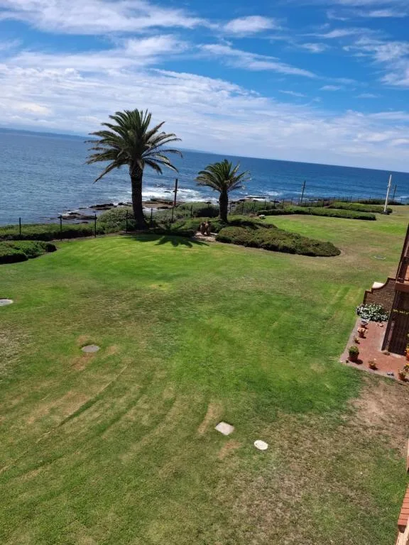 Ocean vista from manicured garden with palm trees and lawn