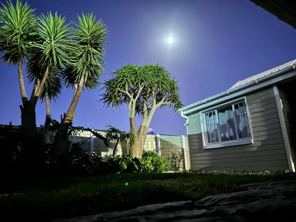 Modern villa exterior with palm trees under moonlit evening sky
