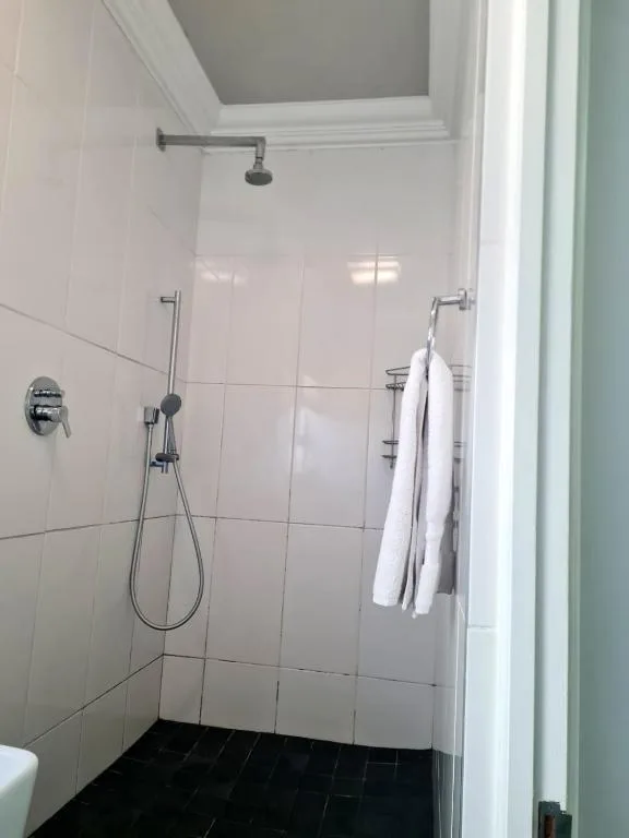 Modern walk-in shower with rainfall head and hand shower fixture