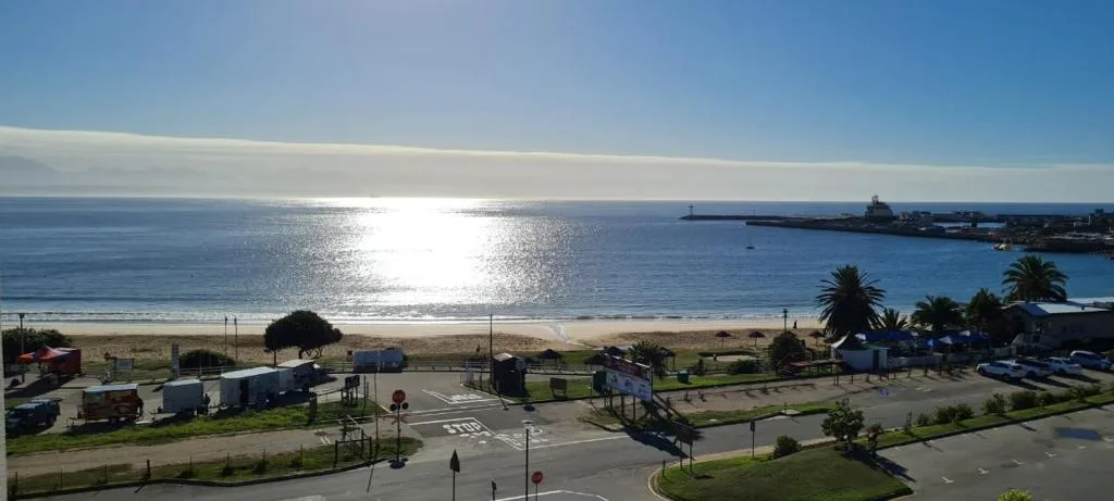 Expansive ocean vista with sandy beach, palm trees, and harbor breakwater