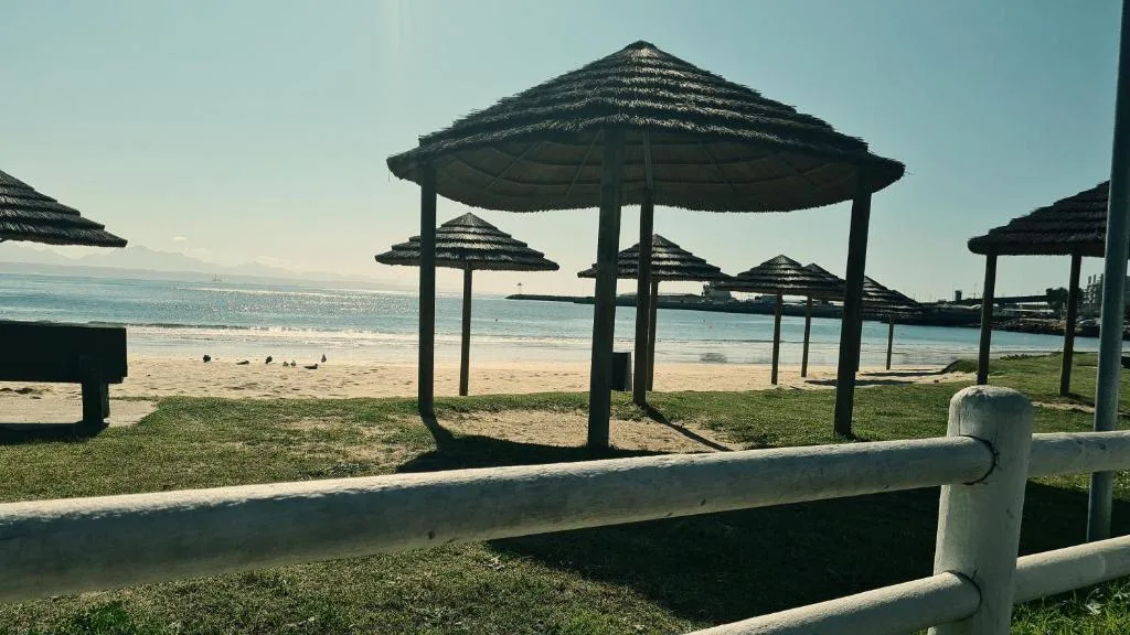 Beach and ocean view with thatched umbrellas and grassy lawn