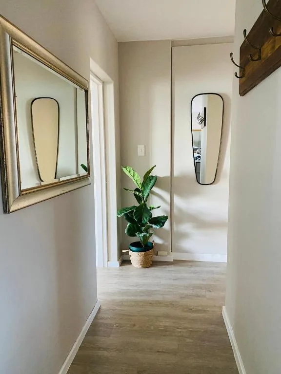 Hallway with mirrors, potted plant, and wooden flooring