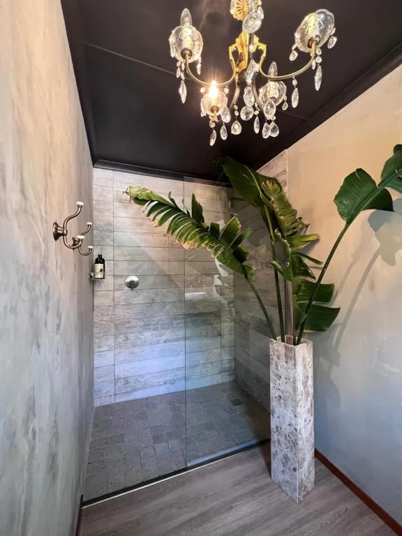 Modern bathroom with walk-in shower, elegant chandelier, and decorative plant arrangement