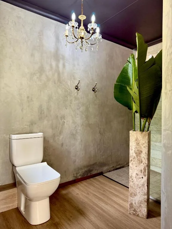 Modern bathroom with toilet, decorative chandelier, and potted plant
