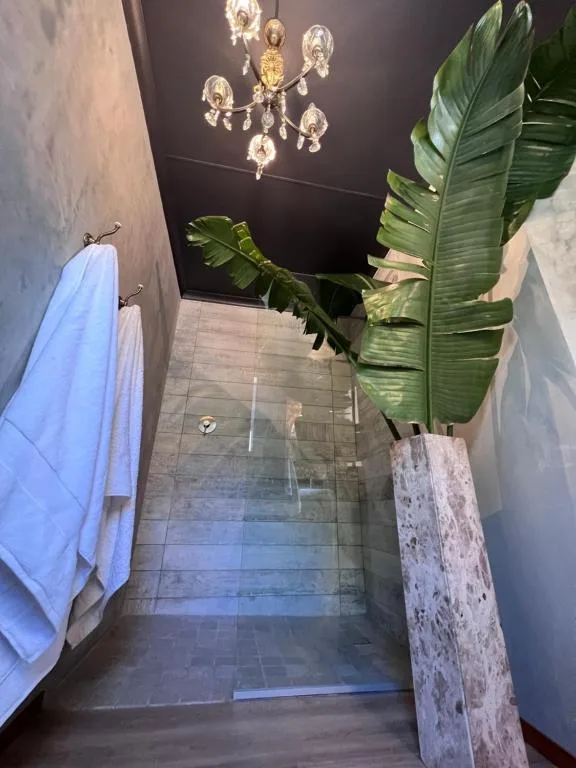 Modern bathroom with walk-in shower, chandelier, and decorative plant