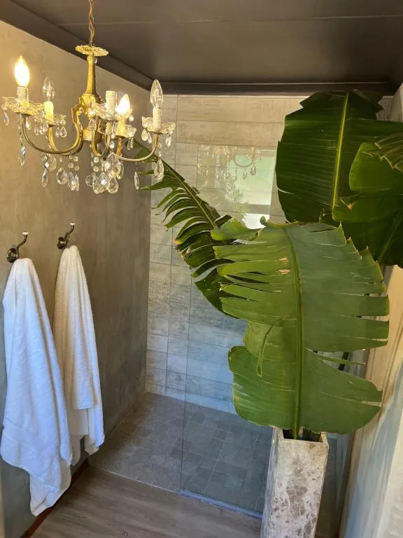 Elegant bathroom with chandelier, white towels, and decorative green plant