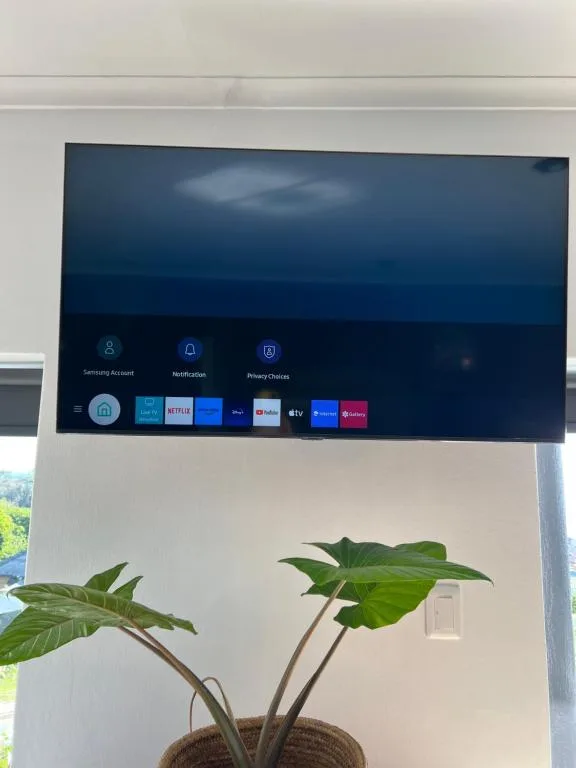 Smart TV mounted on wall above potted green plant indoors