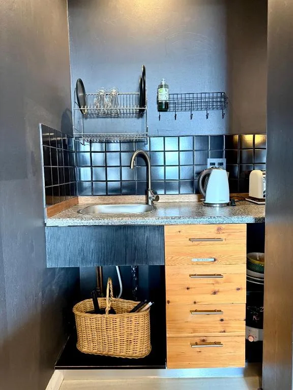 Compact kitchenette with stove, sink, and wooden cabinetry storage
