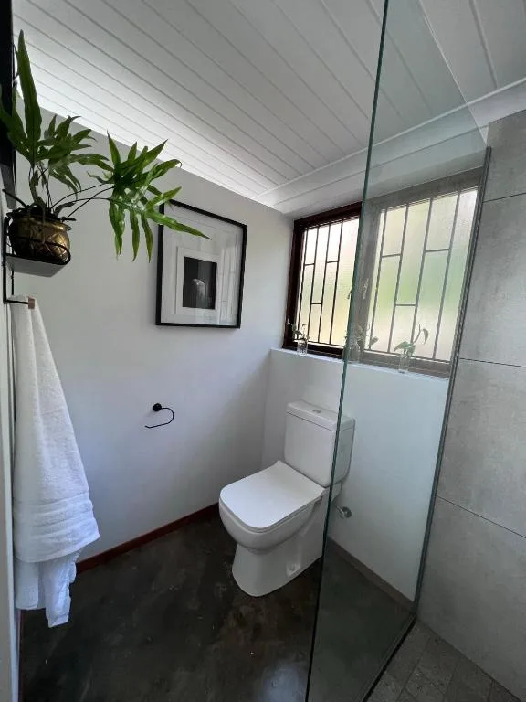 Modern bathroom with toilet, glass shower enclosure, and hanging plant decoration