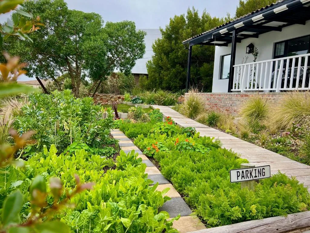Modern white cottage with deck and lush vegetable garden pathway