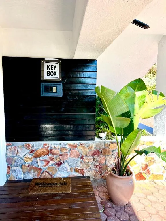 Property entrance with black door, key box, and potted plant decoration