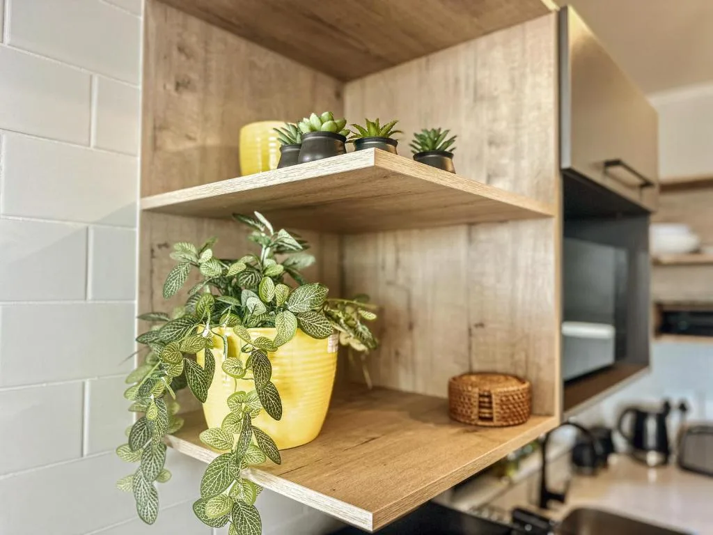 Wooden open shelving with potted succulents and trailing plants in kitchen
