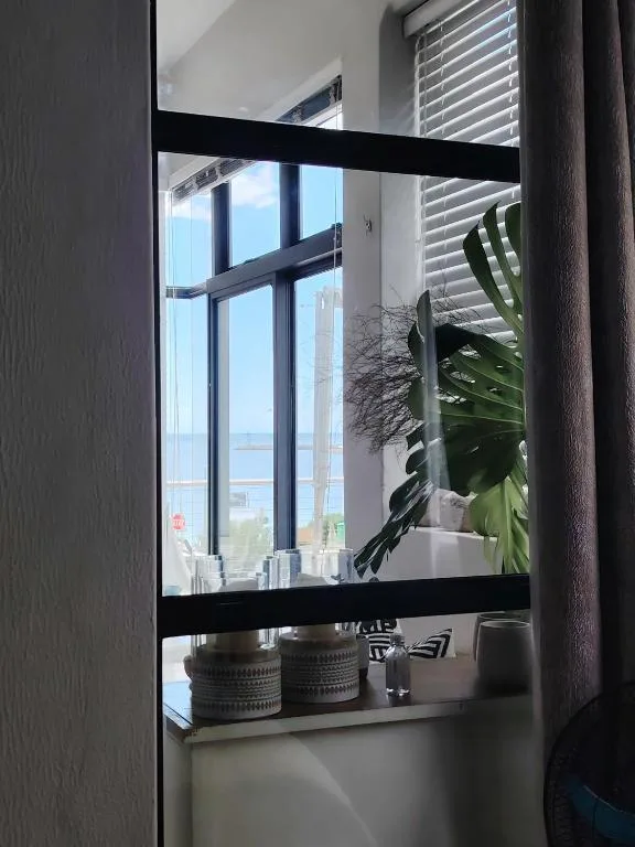 Modern bathroom mirror with black frame and decorative potted plants on shelf