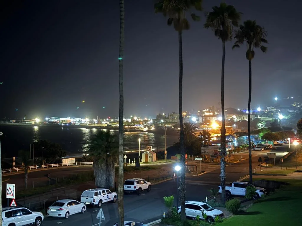 Nighttime coastal view of Mossel Bay harbor with palm trees and waterfront lights