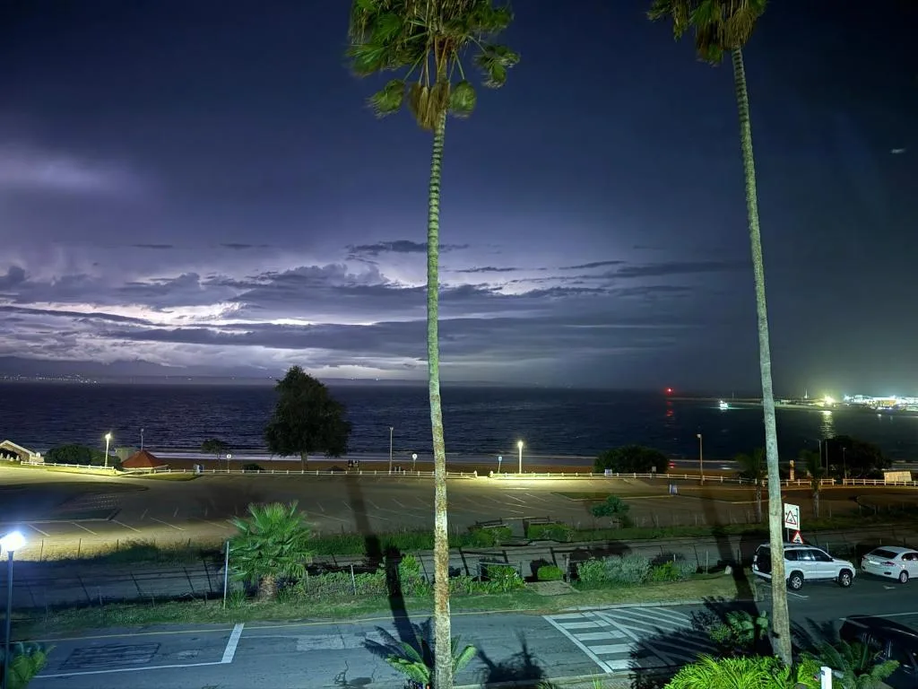 Twilight ocean view with palm trees and coastal town lights