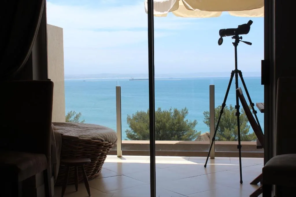 Expansive ocean and coastline view from deck with telescope and sea horizon