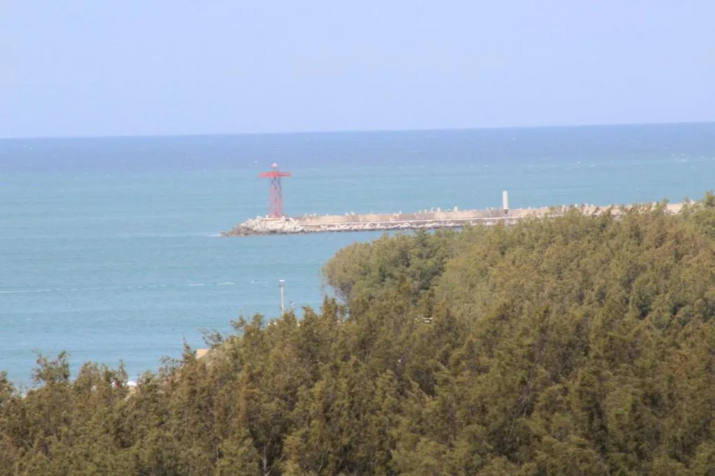 Scenic coastal view with turquoise ocean, pine forest, and distant lighthouse