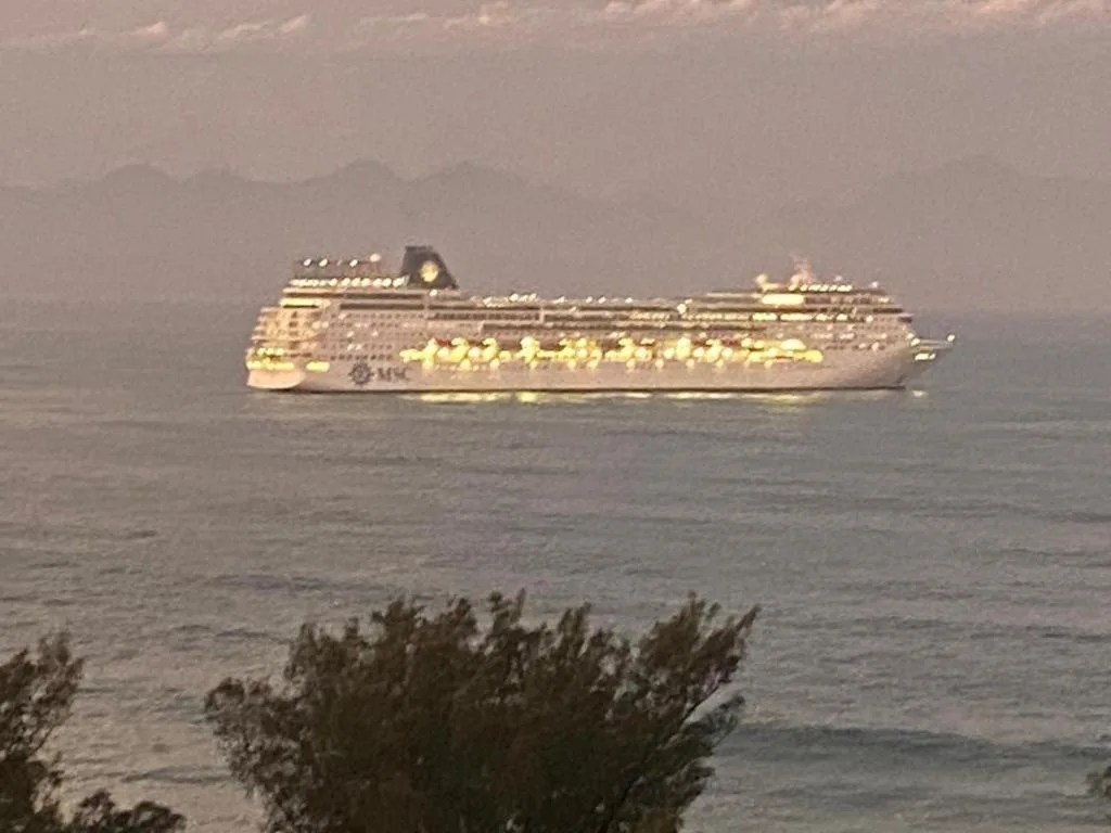 Illuminated cruise ship on ocean at dusk with coastal vegetation