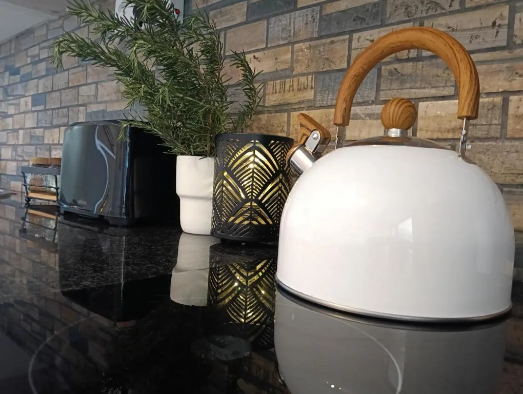 Kitchen counter with white kettle, decorative containers, and green plant