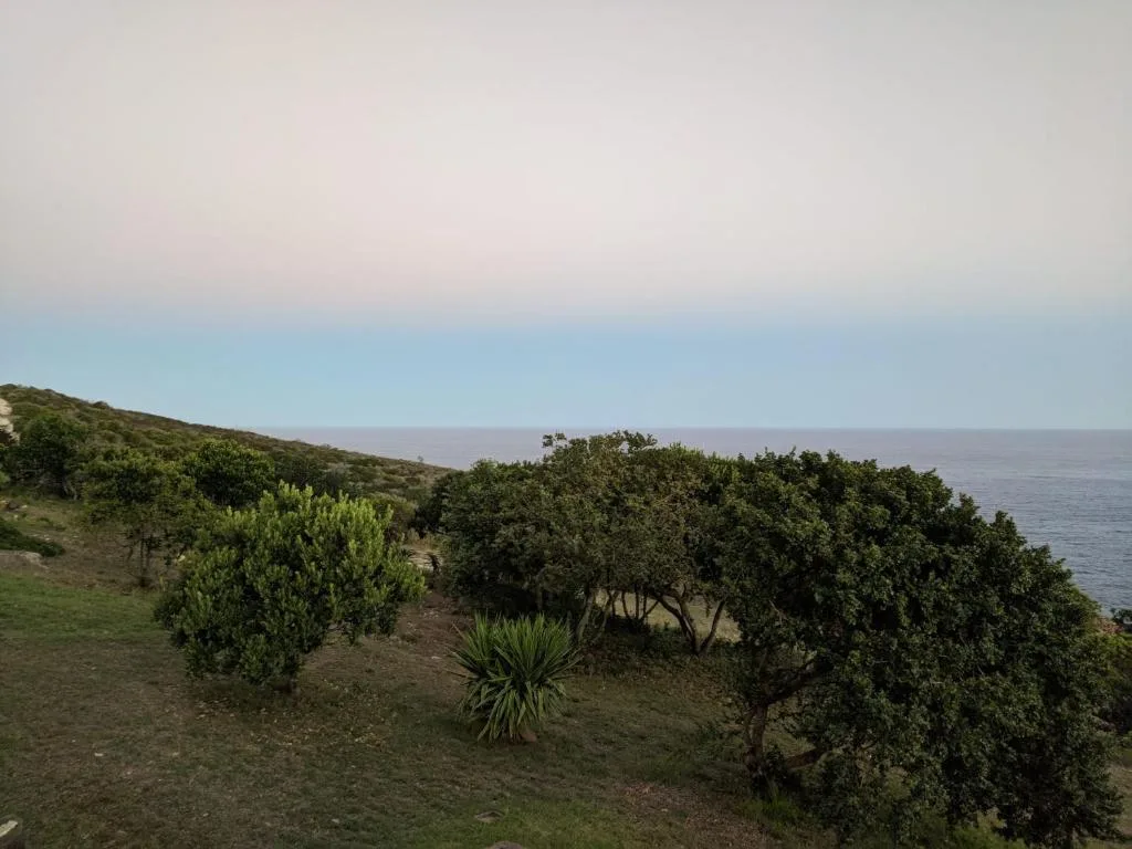 Ocean view across lush gardens and coastal vegetation towards horizon