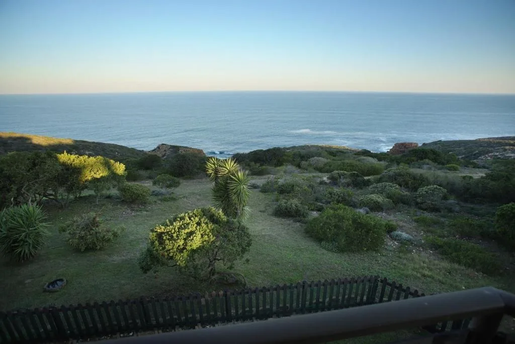 Expansive ocean vista with coastal vegetation and native plants overlooking the sea