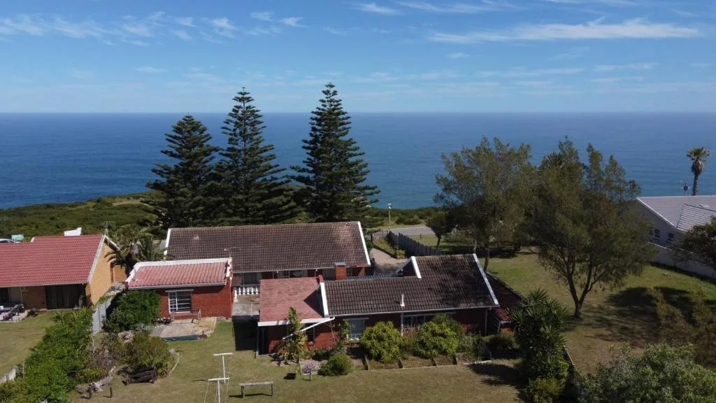 Coastal property overlooking ocean with Norfolk pines and blue horizon