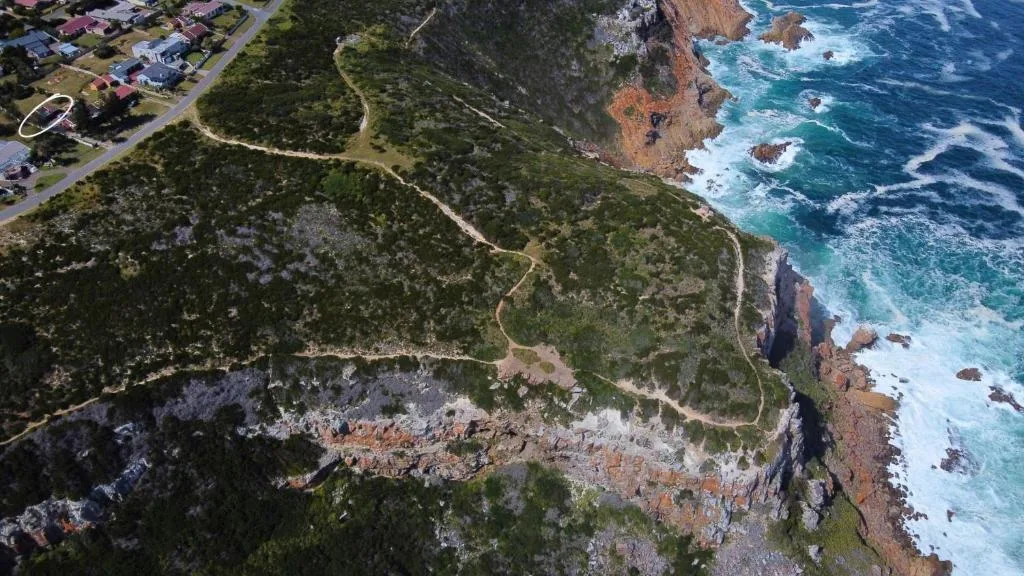 Aerial view of dramatic coastline with cliffs, ocean waves, and coastal forest path