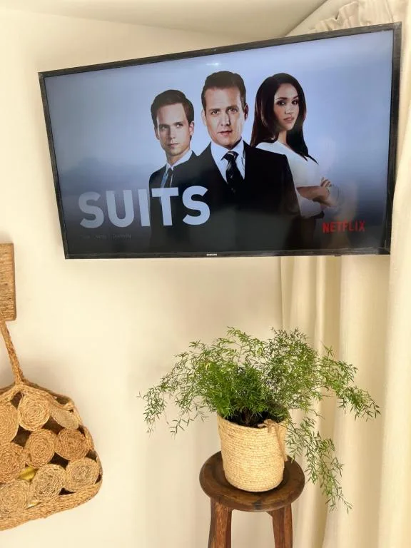 Wall-mounted TV displaying Netflix series with potted plant below