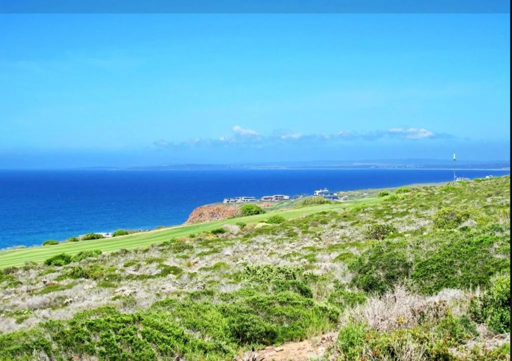 Panoramic coastal view with turquoise ocean, green headland, and distant properties