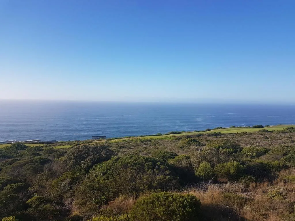 Ocean vista with coastal vegetation and clear blue horizon from property