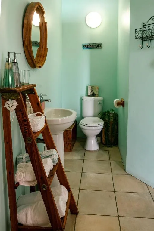Bathroom with mint green walls, toilet, sink, and wooden ladder shelving