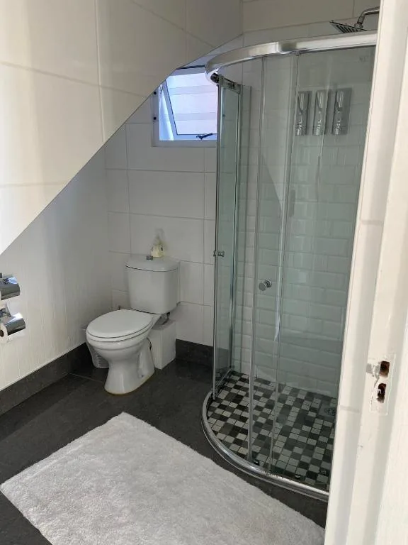 Bright bathroom with enclosed shower, toilet, and small window