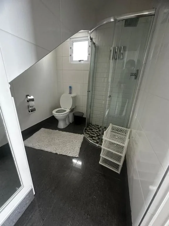 Modern bathroom with walk-in shower, toilet, and white storage shelves