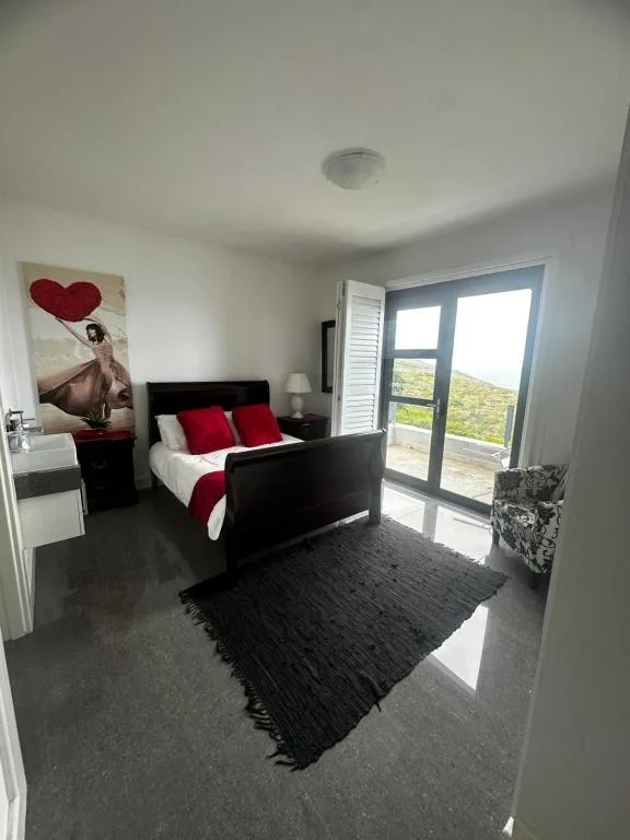 Modern bedroom with black bed frame, red pillows, and garden view doors