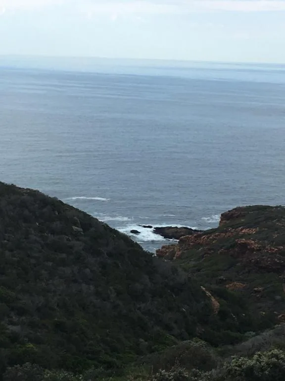 Expansive ocean view with rocky coastline and lush vegetation below