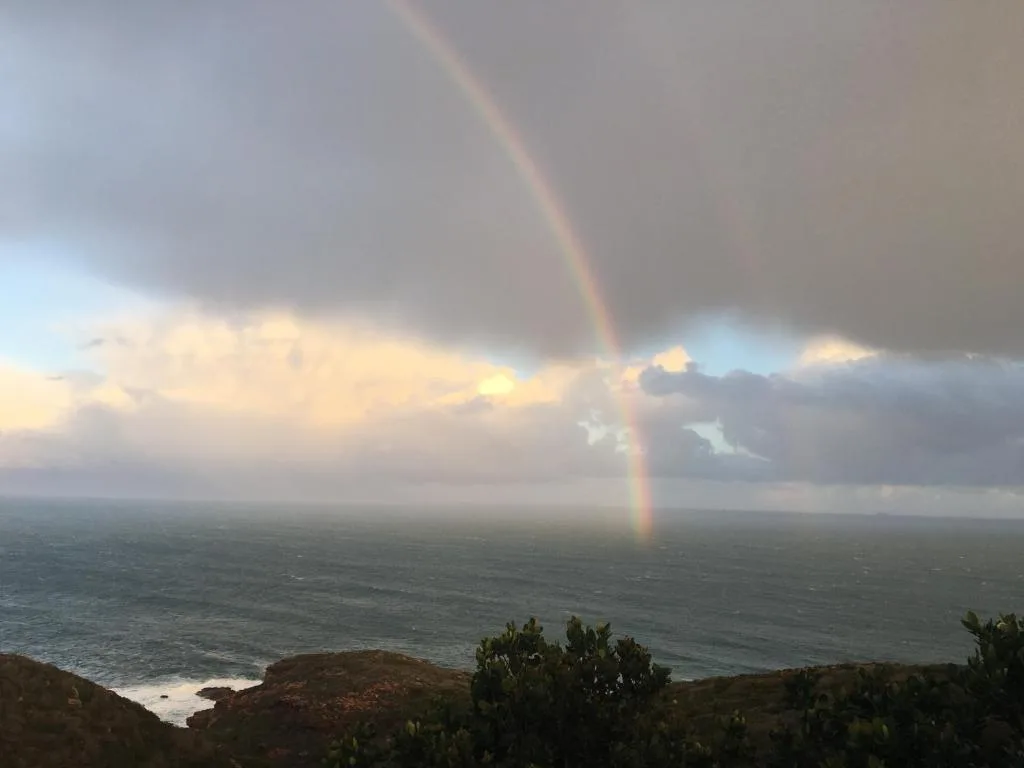 Double rainbow over ocean with dramatic clouds and coastal vegetation