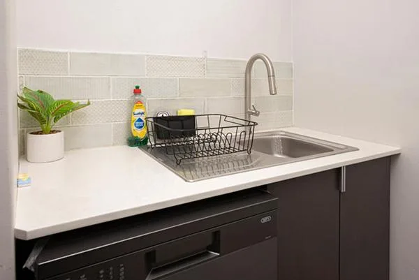 Modern kitchen sink with dish rack and white subway tile backsplash